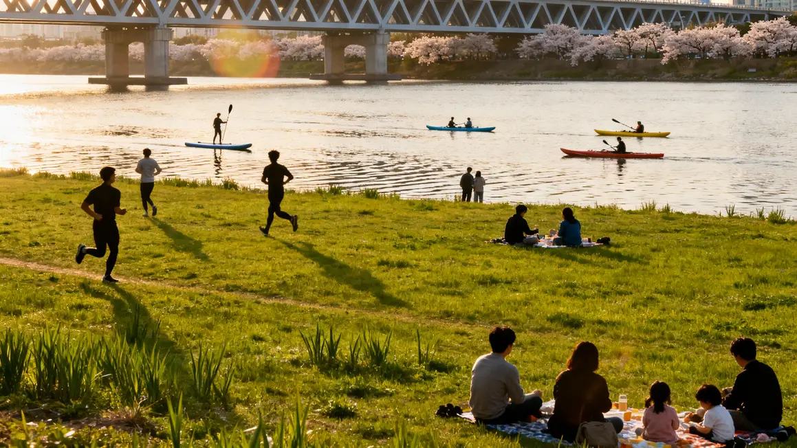 Hangang Park fleuve Han pelouse cerisiers paddle kayak