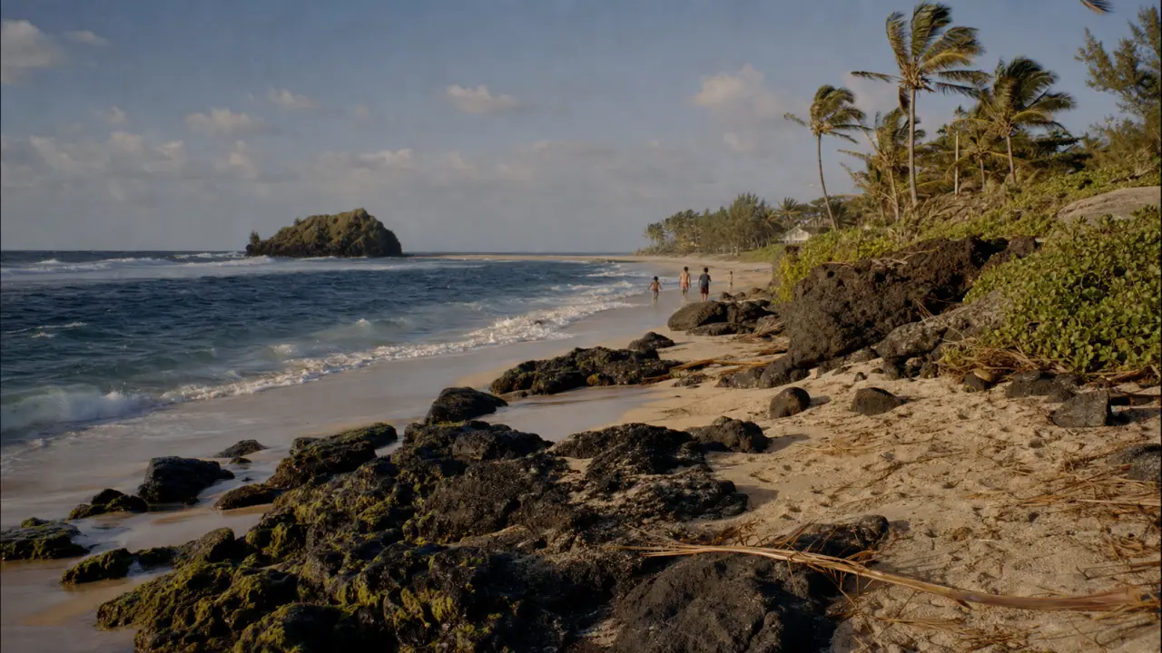 Petite ile à La Réunion : îlot végétalisé au large de Grande Anse